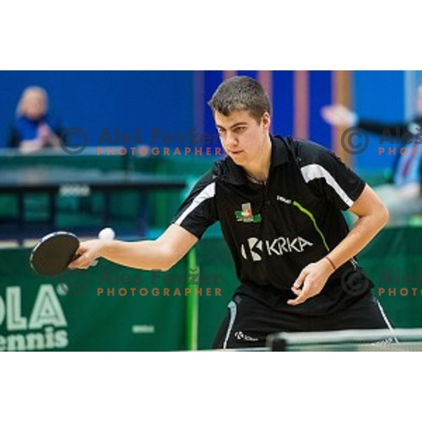 Darko Jorgic in action during tabel tennis match of National Championship 2015, Jesenice, Slovenia, on January 31, 2015