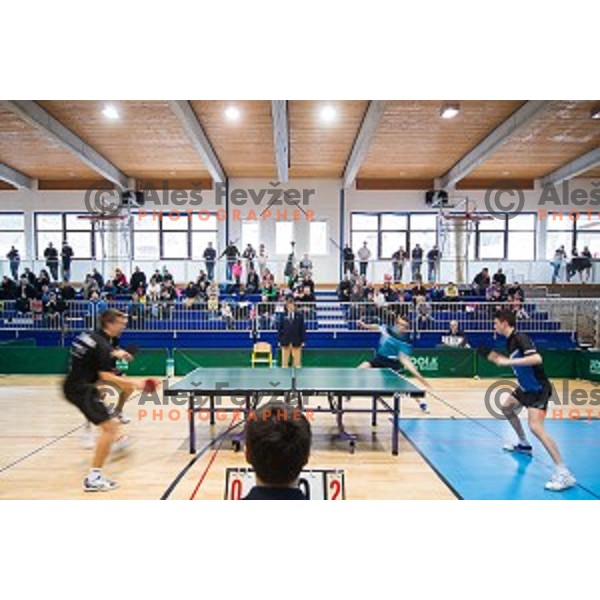 Action during tabel tennis match of National Championship 2015, Jesenice, Slovenia, on January 31, 2015
