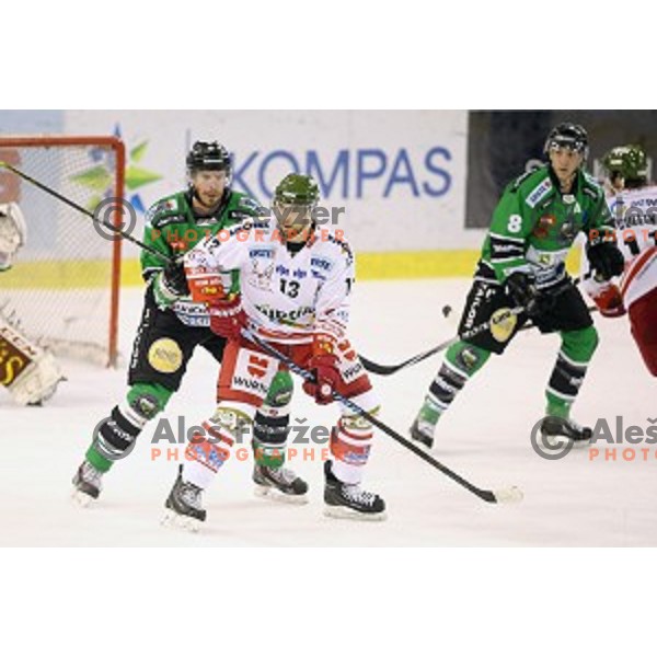 Ziga Pance of Bolzano scores goal during EBEL league ice-hockey match Telemach Olimpija-Bolzano in Tivoli Hall, Ljubljana, Slovenia on March 1, 2015