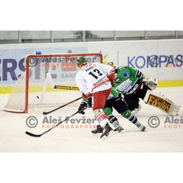 Ziga Pance of Bolzano scores goal during EBEL league ice-hockey match Telemach Olimpija-Bolzano in Tivoli Hall, Ljubljana, Slovenia on March 1, 2015