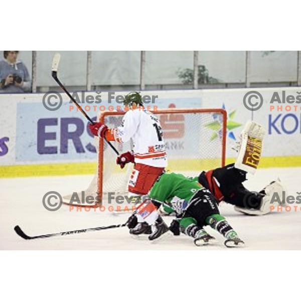 Ziga Pance of Bolzano scores goal during EBEL league ice-hockey match Telemach Olimpija-Bolzano in Tivoli Hall, Ljubljana, Slovenia on March 1, 2015