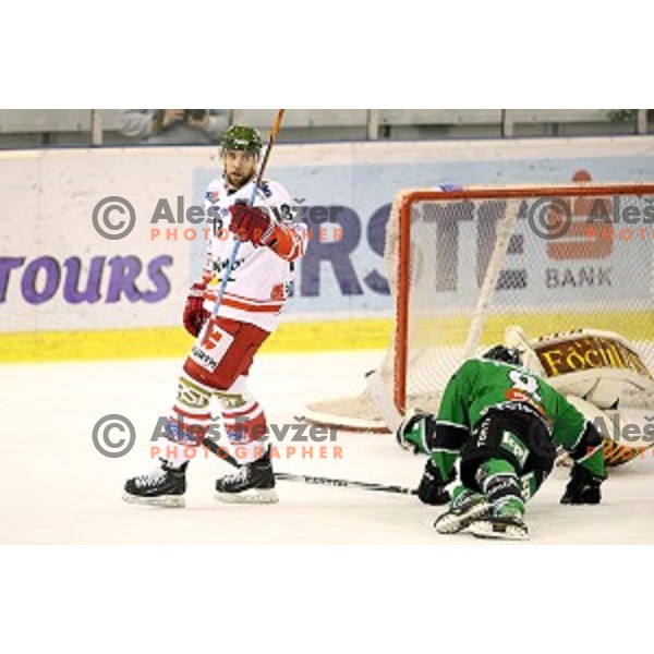 Ziga Pance of Bolzano scores goal during EBEL league ice-hockey match Telemach Olimpija-Bolzano in Tivoli Hall, Ljubljana, Slovenia on March 1, 2015