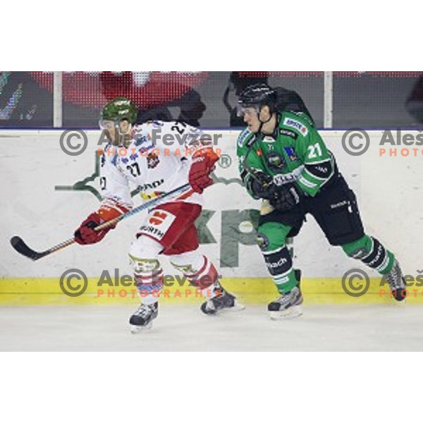 of Telemach Olimpija in action during EBEL league ice-hockey match Telemach Olimpija-Bolzano in Tivoli Hall, Ljubljana, Slovenia on March 1, 2015
