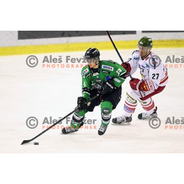 of Telemach Olimpija in action during EBEL league ice-hockey match Telemach Olimpija-Bolzano in Tivoli Hall, Ljubljana, Slovenia on March 1, 2015