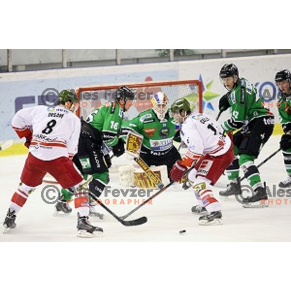 of Telemach Olimpija in action during EBEL league ice-hockey match Telemach Olimpija-Bolzano in Tivoli Hall, Ljubljana, Slovenia on March 1, 2015
