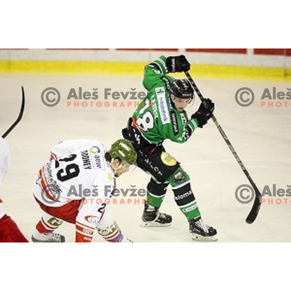 Rok Leber of Telemach Olimpija in action during EBEL league ice-hockey match Telemach Olimpija-Bolzano in Tivoli Hall, Ljubljana, Slovenia on March 1, 2015