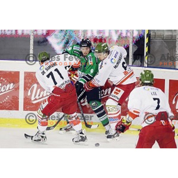 of Telemach Olimpija in action during EBEL league ice-hockey match Telemach Olimpija-Bolzano in Tivoli Hall, Ljubljana, Slovenia on March 1, 2015
