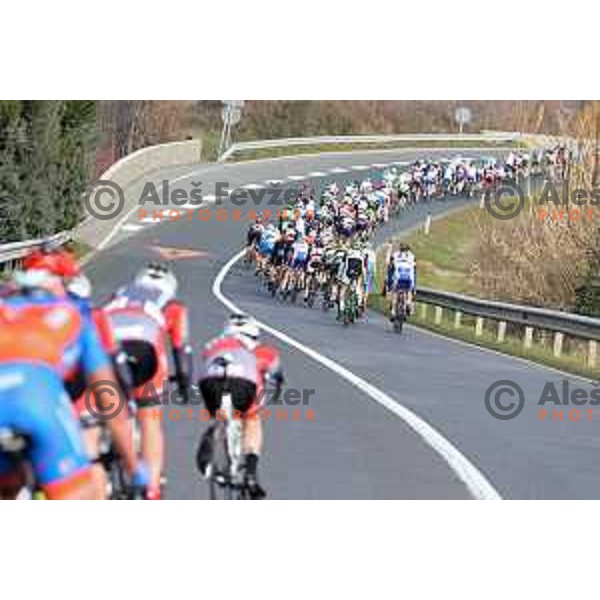 Grand Prix of Izola UCI professional race, Izola, Slovenia on February 28, 2015