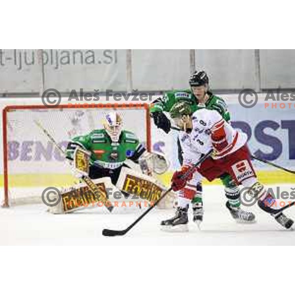 of Telemach Olimpija in action during EBEL league ice-hockey match Telemach Olimpija-Bolzano in Tivoli Hall, Ljubljana, Slovenia on March 1, 2015