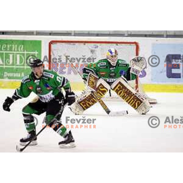 Miika Wiikman of Telemach Olimpija in action during EBEL league ice-hockey match Telemach Olimpija-Bolzano in Tivoli Hall, Ljubljana, Slovenia on March 1, 2015