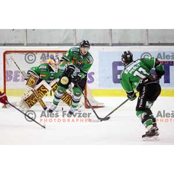 of Telemach Olimpija in action during EBEL league ice-hockey match Telemach Olimpija-Bolzano in Tivoli Hall, Ljubljana, Slovenia on March 1, 2015