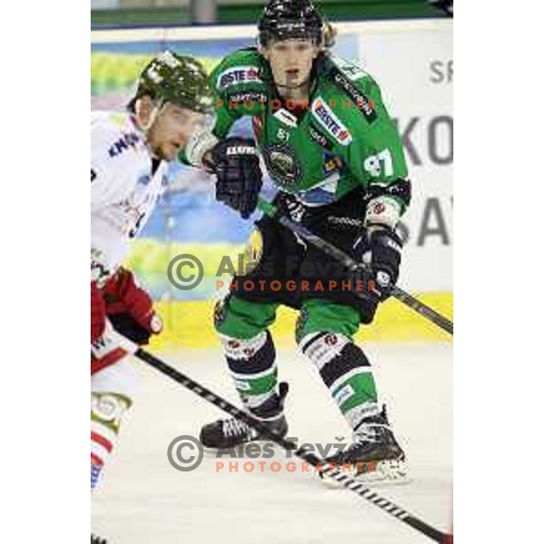 of Telemach Olimpija in action during EBEL league ice-hockey match Telemach Olimpija-Bolzano in Tivoli Hall, Ljubljana, Slovenia on March 1, 2015