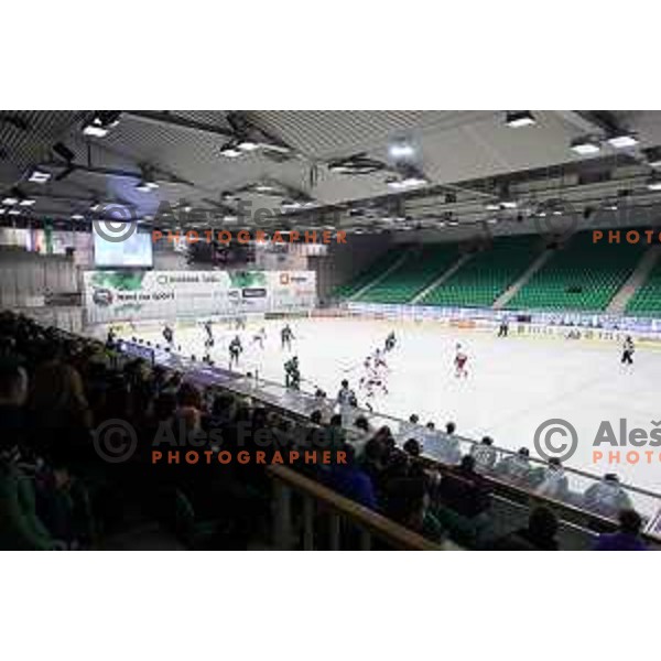 of Telemach Olimpija in action during EBEL league ice-hockey match Telemach Olimpija-Bolzano in Tivoli Hall, Ljubljana, Slovenia on March 1, 2015