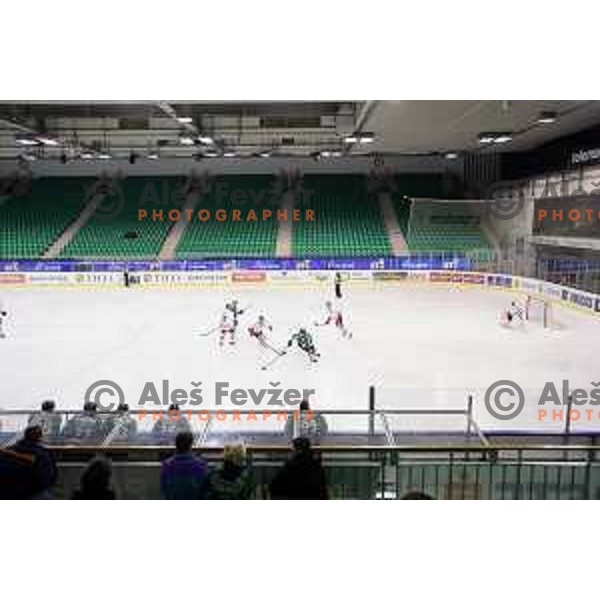 of Telemach Olimpija in action during EBEL league ice-hockey match Telemach Olimpija-Bolzano in Tivoli Hall, Ljubljana, Slovenia on March 1, 2015