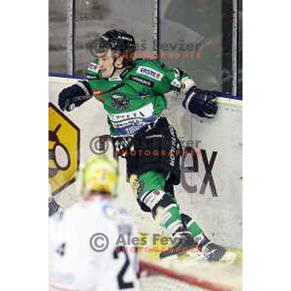 of Telemach Olimpija in action during EBEL league ice-hockey match Telemach Olimpija-Bolzano in Tivoli Hall, Ljubljana, Slovenia on March 1, 2015