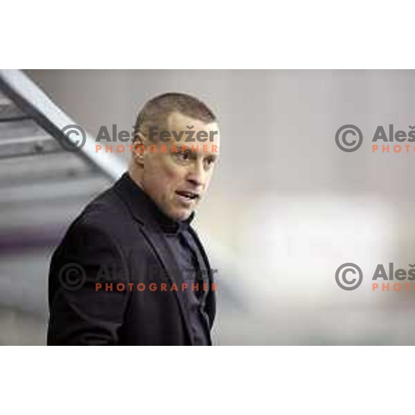 Fabian Dahlem, head coach of Telemach Olimpija in action during EBEL league ice-hockey match Telemach Olimpija-Bolzano in Tivoli Hall, Ljubljana, Slovenia on March 1, 2015