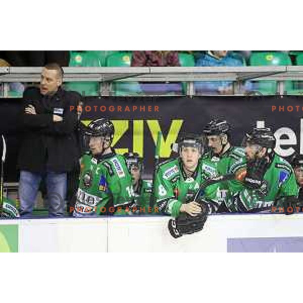 of Telemach Olimpija in action during EBEL league ice-hockey match Telemach Olimpija-Bolzano in Tivoli Hall, Ljubljana, Slovenia on March 1, 2015