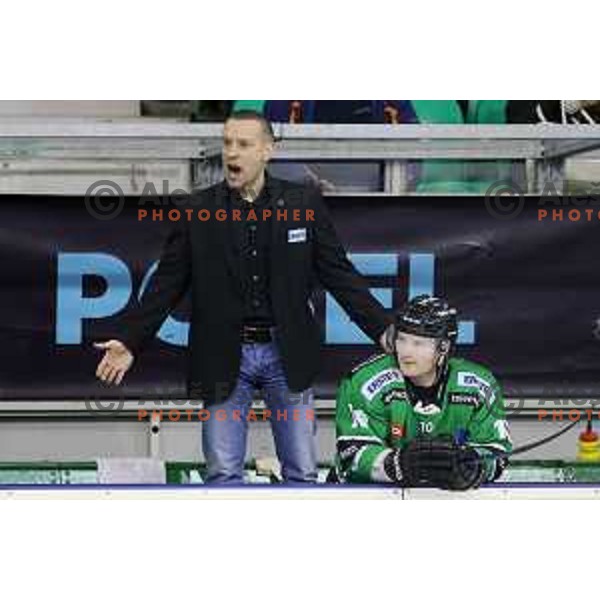 Fabian Dahlem, head coach of Telemach Olimpija in action during EBEL league ice-hockey match Telemach Olimpija-Bolzano in Tivoli Hall, Ljubljana, Slovenia on March 1, 2015