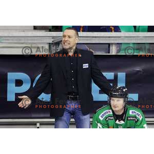 Fabian Dahlem, head coach of Telemach Olimpija in action during EBEL league ice-hockey match Telemach Olimpija-Bolzano in Tivoli Hall, Ljubljana, Slovenia on March 1, 2015