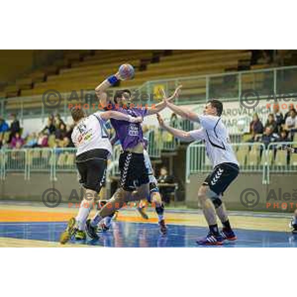 in action during handball match Maribor Branik - Riko Ribnica, 1. NLB Leasing liga, Maribor, Tabor Hall, 8.3.2015