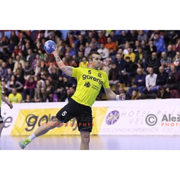 Niko Medved of Gorenje Velenje in action during EHF Cup handball match between Gorenje Velenje (SLO) and Pfadi Winterthur (SUI) in Red Hall, Velenje, Slovenija on March 8, 2015