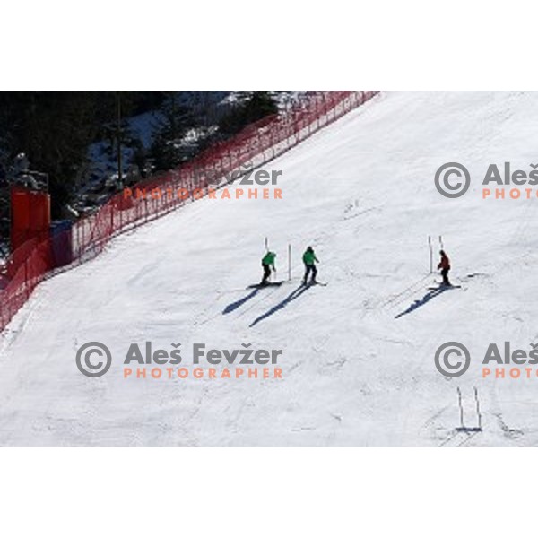 Preparation for AUDI FIS Ski World Cup Giant Slalom - 54.Vitranc Cup in Kranjska gora, Slovenia on March 13, 2015
