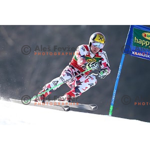Marcel Hirscher (AUT), runner-up of AUDI FIS Ski World Cup Giant Slalom - 54.Vitranc Cup in Kranjska gora, Slovenia on March 14, 2015