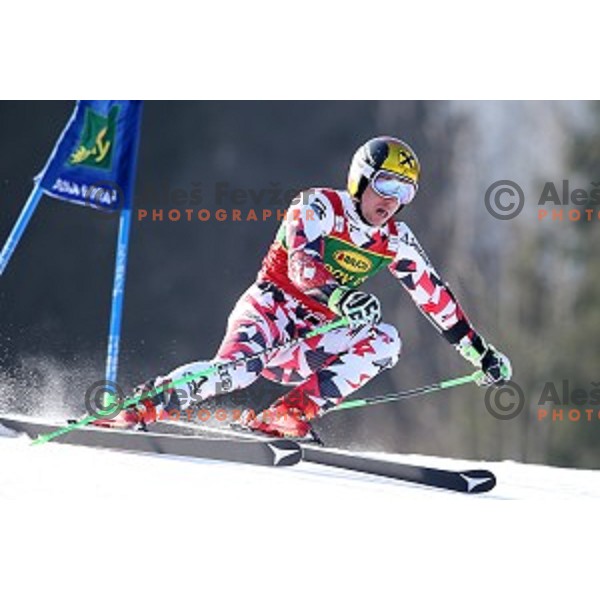 Marcel Hirscher (AUT), runner-up of AUDI FIS Ski World Cup Giant Slalom - 54.Vitranc Cup in Kranjska gora, Slovenia on March 14, 2015