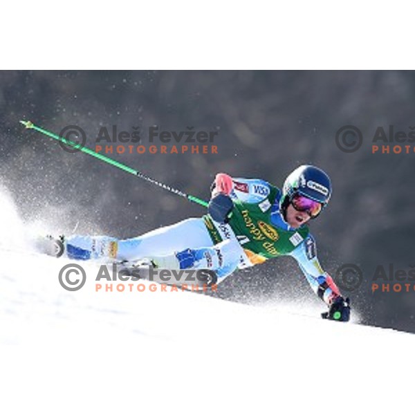 skiing in first run of AUDI FIS Ski World Cup Giant Slalom - 54.Vitranc Cup in Kranjska gora, Slovenia on March 14, 2015