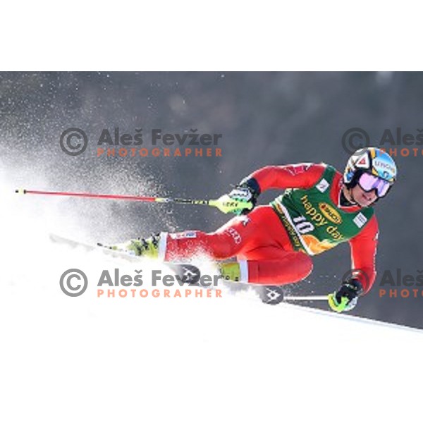 skiing in first run of AUDI FIS Ski World Cup Giant Slalom - 54.Vitranc Cup in Kranjska gora, Slovenia on March 14, 2015