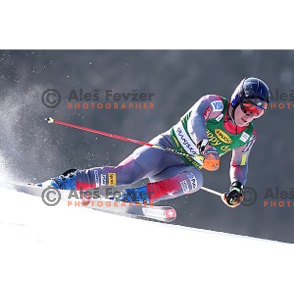 skiing in first run of AUDI FIS Ski World Cup Giant Slalom - 54.Vitranc Cup in Kranjska gora, Slovenia on March 14, 2015