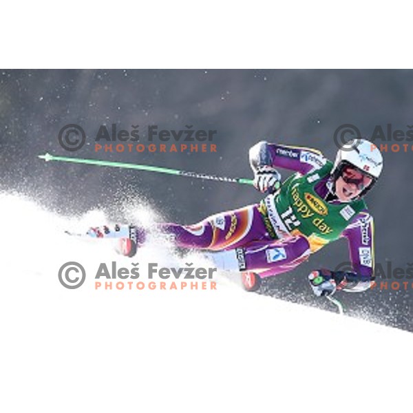 skiing in first run of AUDI FIS Ski World Cup Giant Slalom - 54.Vitranc Cup in Kranjska gora, Slovenia on March 14, 2015