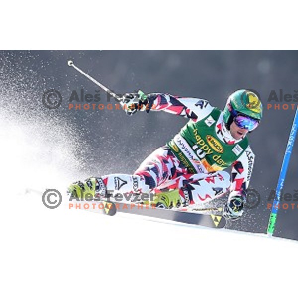 skiing in first run of AUDI FIS Ski World Cup Giant Slalom - 54.Vitranc Cup in Kranjska gora, Slovenia on March 14, 2015