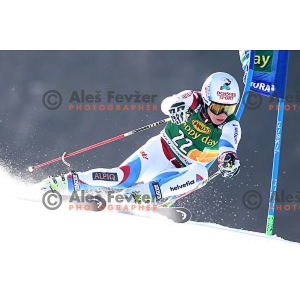 skiing in first run of AUDI FIS Ski World Cup Giant Slalom - 54.Vitranc Cup in Kranjska gora, Slovenia on March 14, 2015