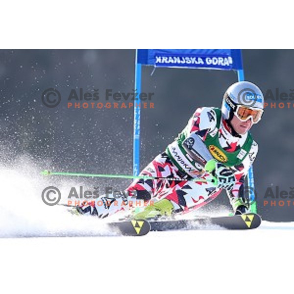 skiing in first run of AUDI FIS Ski World Cup Giant Slalom - 54.Vitranc Cup in Kranjska gora, Slovenia on March 14, 2015