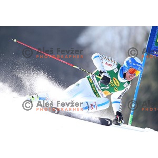 skiing in first run of AUDI FIS Ski World Cup Giant Slalom - 54.Vitranc Cup in Kranjska gora, Slovenia on March 14, 2015