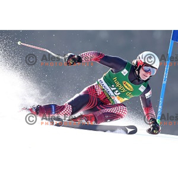 skiing in first run of AUDI FIS Ski World Cup Giant Slalom - 54.Vitranc Cup in Kranjska gora, Slovenia on March 14, 2015