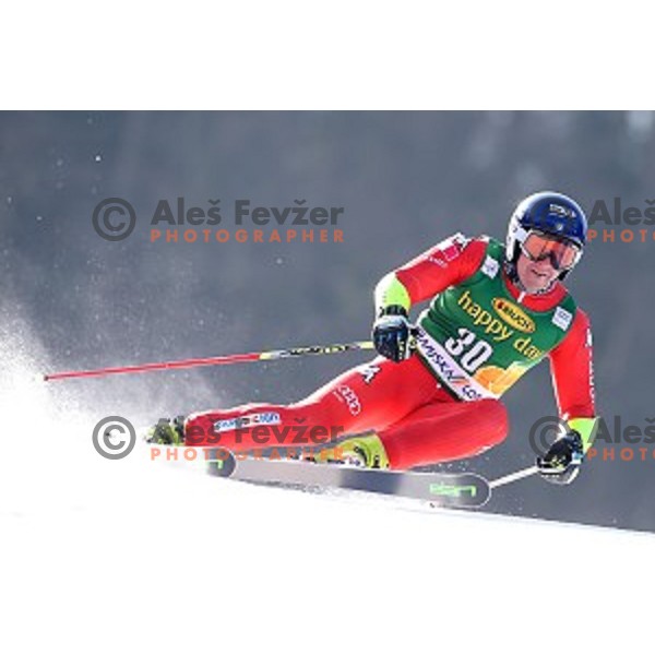 skiing in first run of AUDI FIS Ski World Cup Giant Slalom - 54.Vitranc Cup in Kranjska gora, Slovenia on March 14, 2015