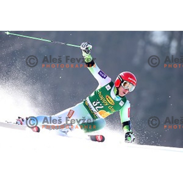 Zan Kranjec (SLO) skiing in first run of AUDI FIS Ski World Cup Giant Slalom - 54.Vitranc Cup in Kranjska gora, Slovenia on March 14, 2015