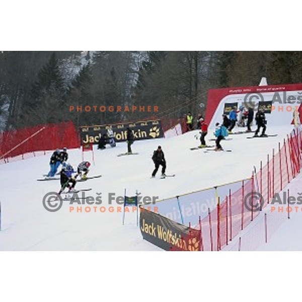 Course inspection before first run of AUDI FIS Ski World Cup Giant Slalom - 54.Vitranc Cup in Kranjska gora, Slovenia on March 14, 2015