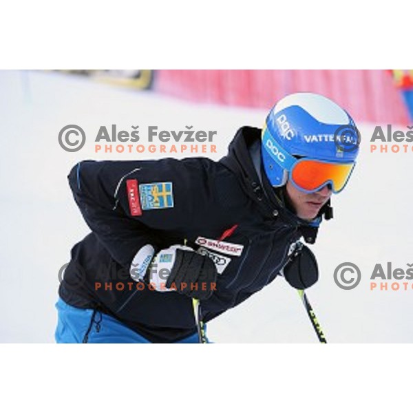 Course inspection before first run of AUDI FIS Ski World Cup Giant Slalom - 54.Vitranc Cup in Kranjska gora, Slovenia on March 14, 2015