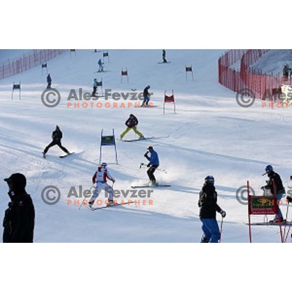 Course inspection before first run of AUDI FIS Ski World Cup Giant Slalom - 54.Vitranc Cup in Kranjska gora, Slovenia on March 14, 2015
