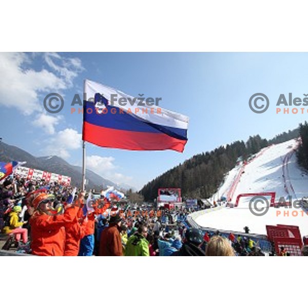 AUDI FIS Ski World Cup Giant Slalom - 54.Vitranc Cup in Kranjska gora, Slovenia on March 14, 2015