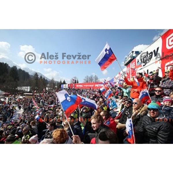 AUDI FIS Ski World Cup Giant Slalom - 54.Vitranc Cup in Kranjska gora, Slovenia on March 14, 2015