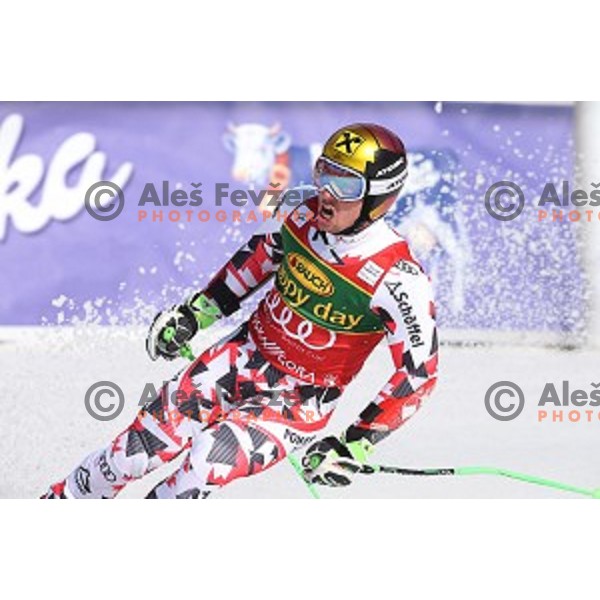 Marcel Hirscher (AUT), runner-up of AUDI FIS Ski World Cup Giant Slalom - 54.Vitranc Cup in Kranjska gora, Slovenia on March 14, 2015
