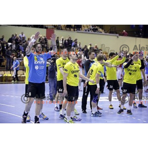 Senjamin Buric, Niko Medved of Gorenje Velenje after EHF Cup handball match between Gorenje Velenje (SLO) and Hamburg (GER) in Red Hall, Velenje, Slovenija on March 15, 2015