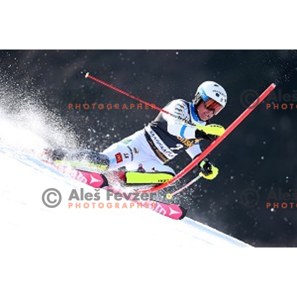 AUDI FIS Ski World Cup Slalom - 54.Vitranc Cup in Kranjska gora, Slovenia on March 15, 2015