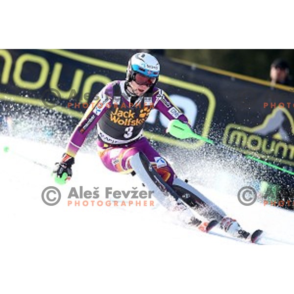 Henrik Kristoffersen (NOR) winner of AUDI FIS Ski World Cup Slalom- 54.Vitranc Cup in Kranjska gora, Slovenia on March 15, 2015