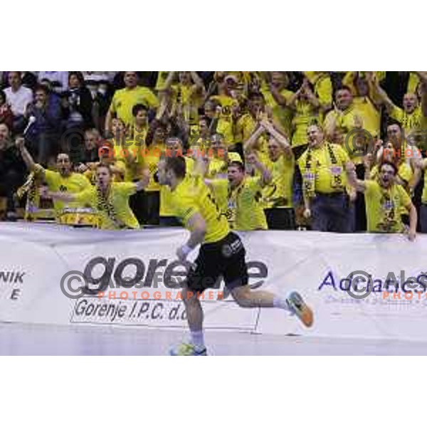 of Gorenje Velenje in action during EHF Cup handball match between Gorenje Velenje (SLO) and Hamburg in Red Hall, Velenje, Slovenija on March 14, 2015