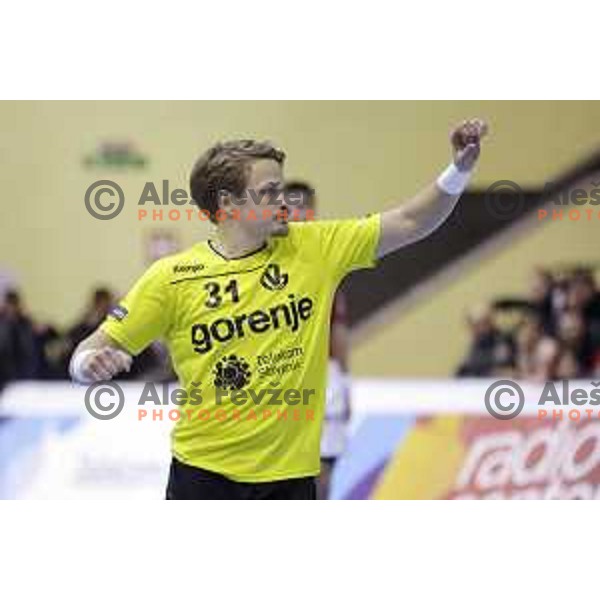 of Gorenje Velenje in action during EHF Cup handball match between Gorenje Velenje (SLO) and Hamburg in Red Hall, Velenje, Slovenija on March 14, 2015